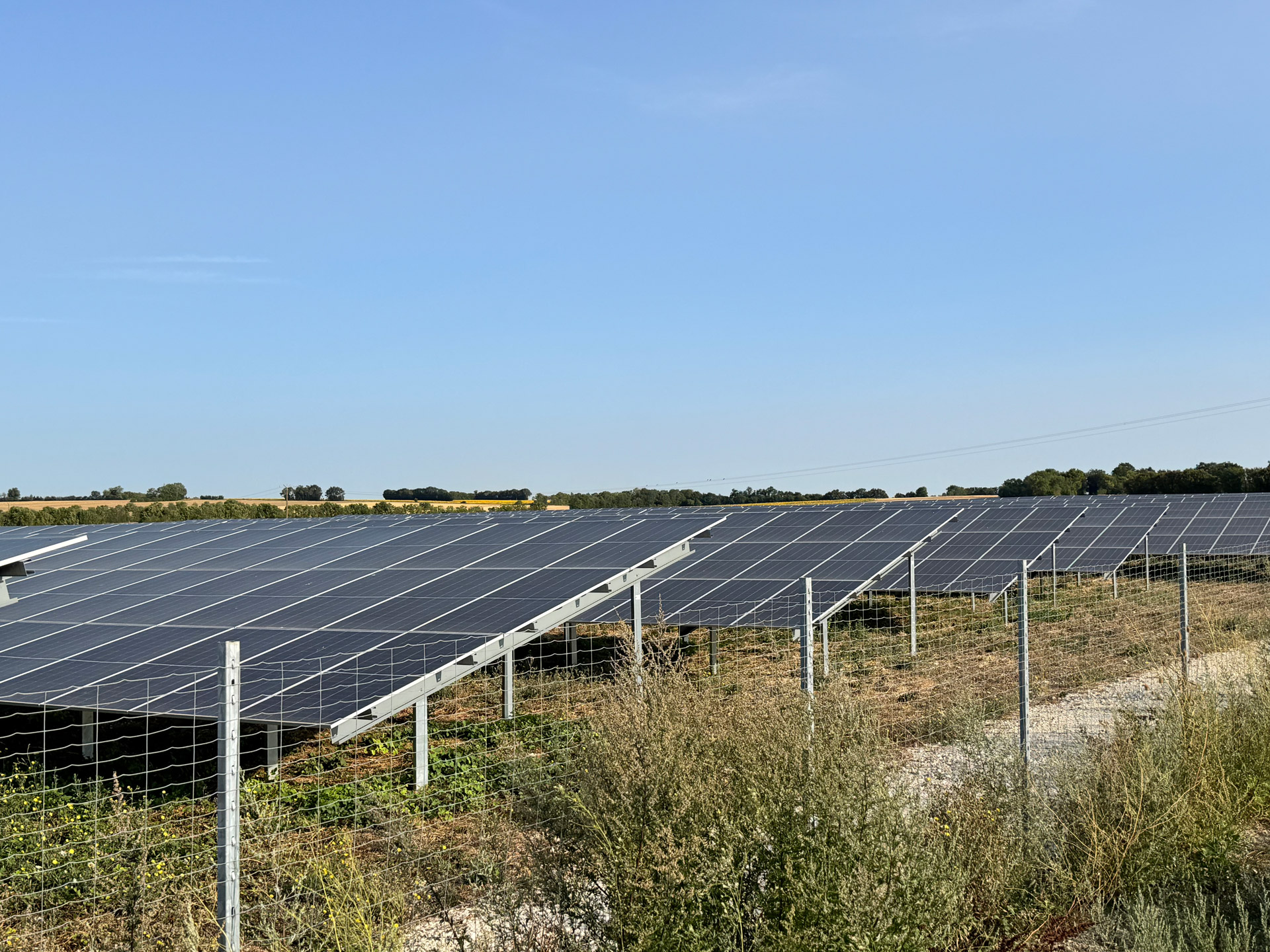 Investing in Renewable Energy